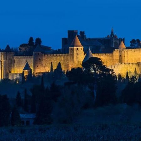Apartament Le Panoramique - Sublime Vue Sur La Cite Carcassonne Zewnętrze zdjęcie