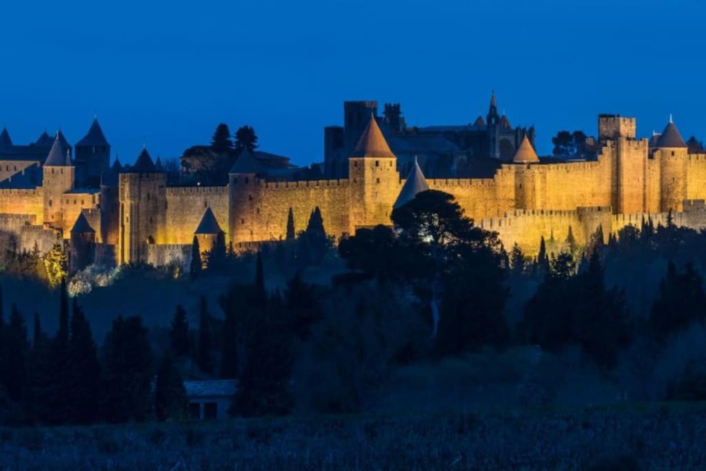 Apartament Le Panoramique - Sublime Vue Sur La Cite Carcassonne Zewnętrze zdjęcie